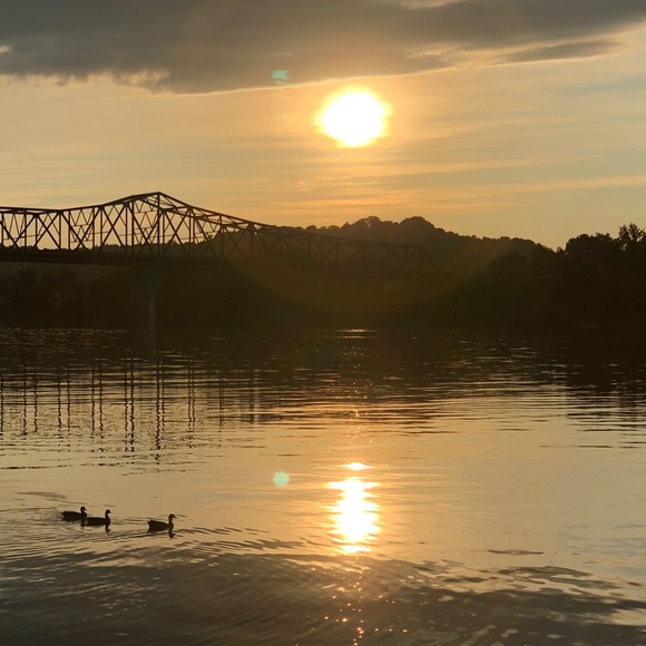 Meet your Posher, Sacha - Picture 1 of 4